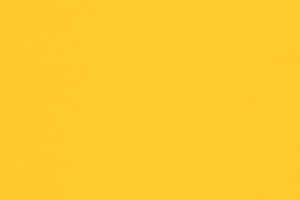 Линолеум Forbo Sarlon Colour 15dB 865T4315 yellow uni фото  | FLOORDEALER